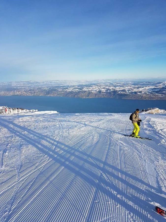 Chalet Le Telemark 톨롱 외부 사진
